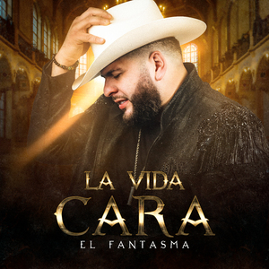 欧美亚洲一级香
